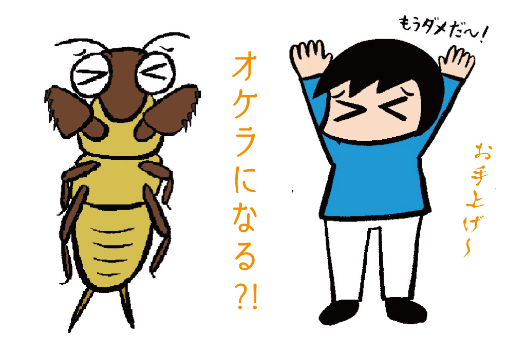 「オケラになる」の意味は？