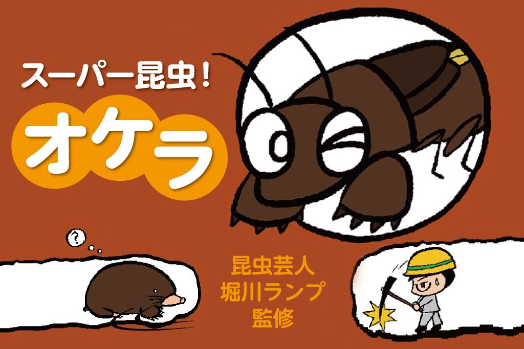 スーパー昆虫！オケラ　昆虫芸人堀川ランプ監修