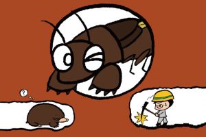 掘る・泳ぐ・飛ぶ…オケラとはハイスペック&かわいい昆虫！生息地、時期、飼育は？