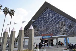 須磨海浜水族園、リニューアルまでの楽しみ方は？2024年春にはシャチがやってくる！