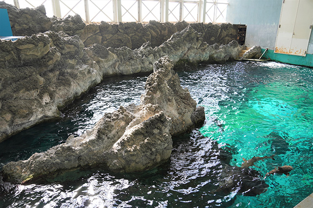 上から見る「波の大水槽」/須磨海浜水族園（兵庫県/神戸市）