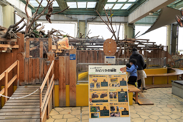 「カピバラの秘密」ボード/須磨海浜水族園（兵庫県/神戸市）