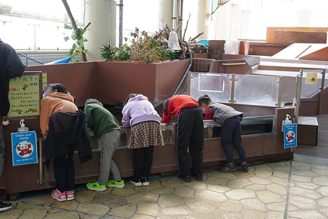 ドクターフィッシュ体験の様子/須磨海浜水族園（兵庫県/神戸市）
