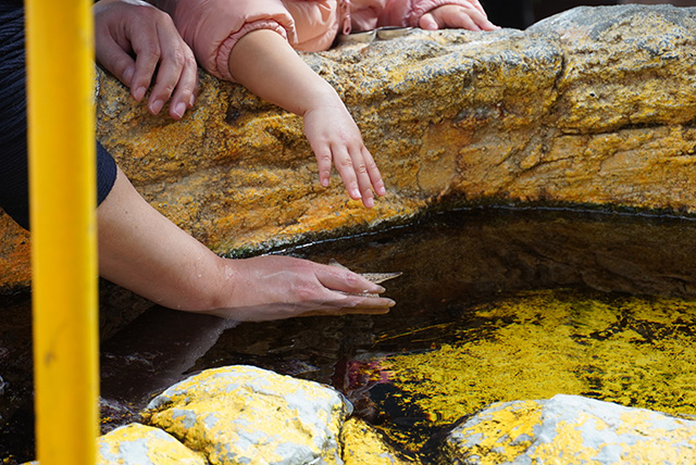 ヒトデに触る様子/須磨海浜水族園（兵庫県/神戸市）