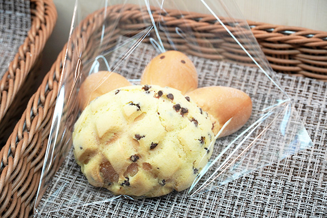 うみがめのメロンパン/須磨海浜水族園（兵庫県/神戸市）