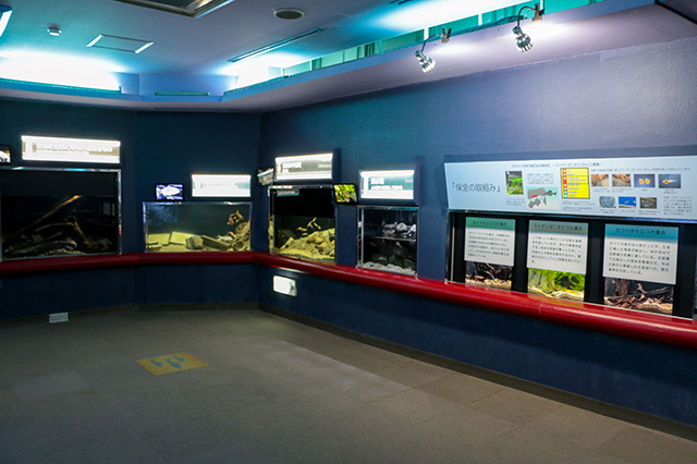 淡水の生きものエリア/須磨海浜水族園（兵庫県/神戸市）