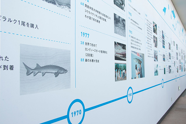 スマスイの歴史年表/須磨海浜水族園（兵庫県/神戸市）