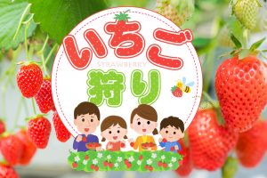 いちご狩り2025｜全国の人気品種・おすすめ農園をチェック！春のドライブスポットも