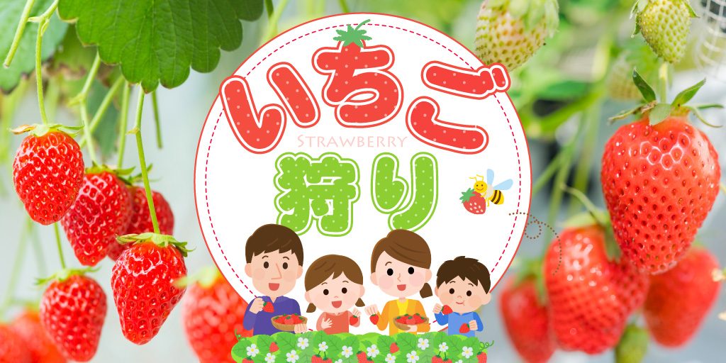 おすすめのいちご狩りスポット特集