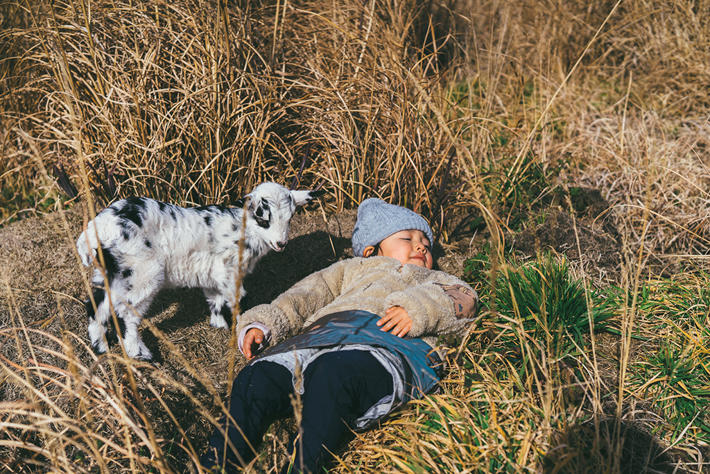 移住インタビュー(島根県大田市大森町)