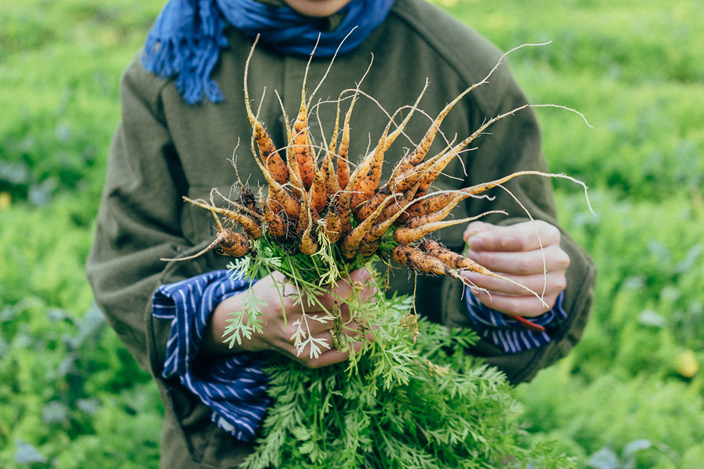 移住インタビュー(島根県大田市大森町)