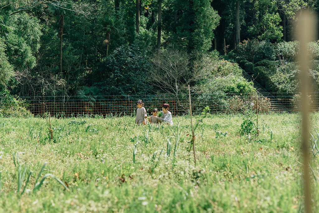 移住インタビュー(島根県大田市大森町)