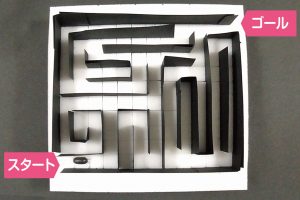 ダンゴムシ迷路を作ろう【小学生の自由研究アイデア】