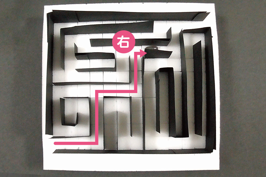 ダンゴムシ迷路