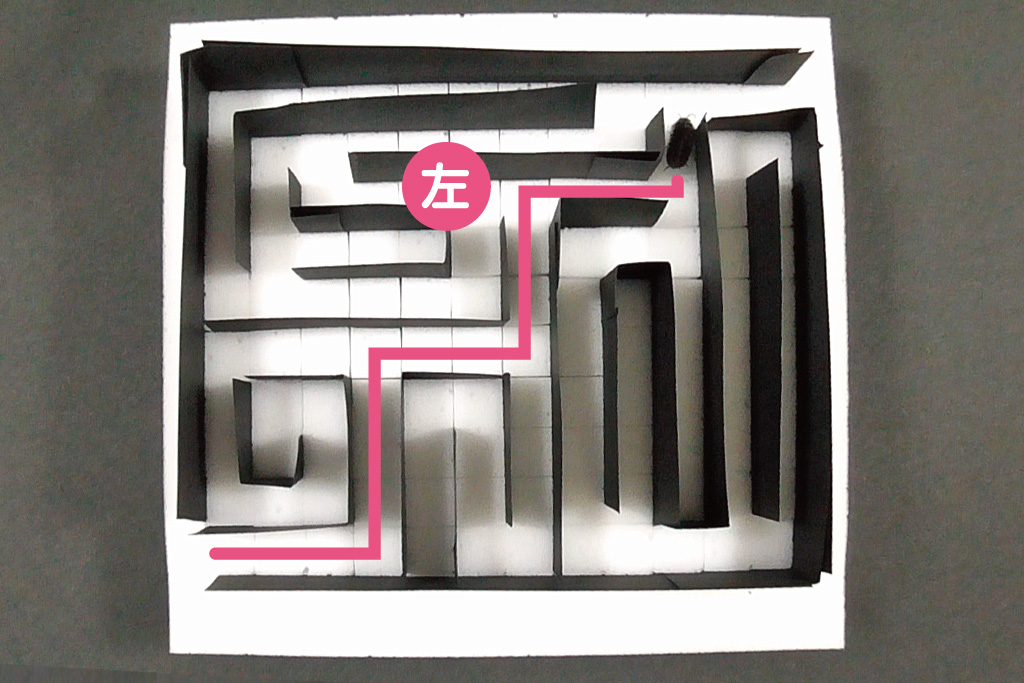 ダンゴムシ迷路