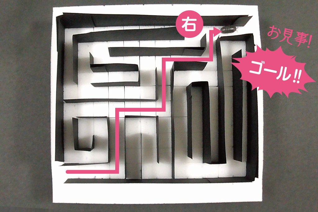 ダンゴムシ迷路