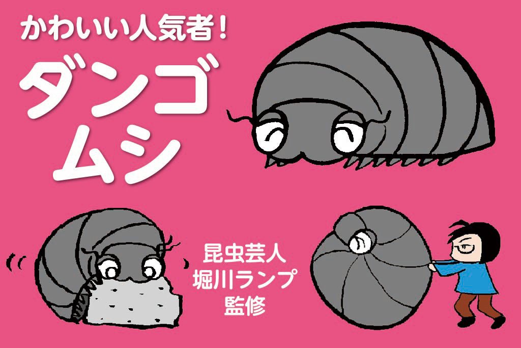 ダンゴムシ徹底解説
