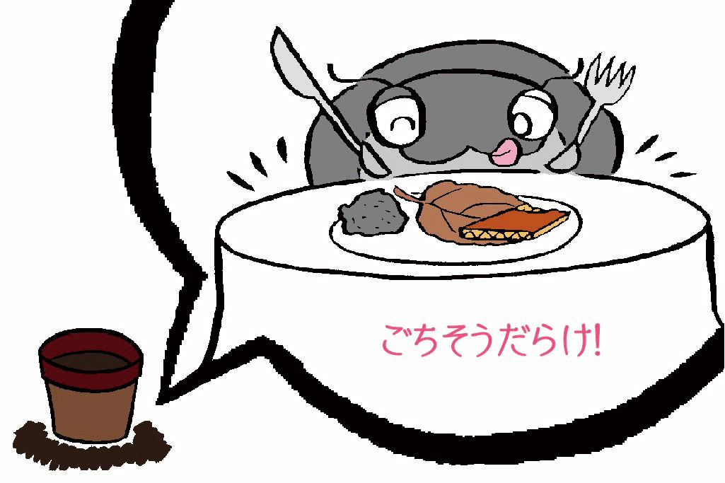 ダンゴムシの餌は?