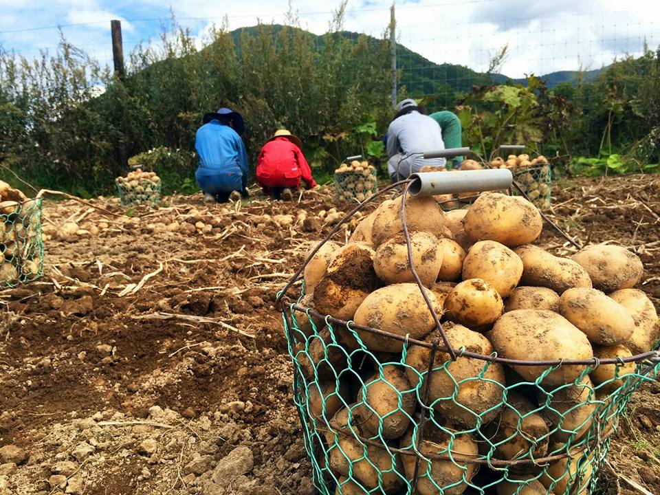 「えづらファーム」/移住インタビュー(北海道/遠軽町)