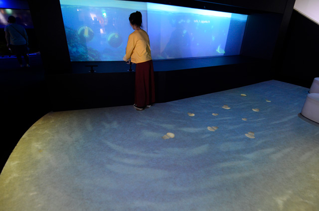 映像水槽ゾーンがある「クラゲライフ」／鴨川シーワールド（千葉県/鴨川市）