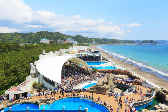 太平洋を見渡せるロケーション／鴨川シーワールド（千葉県/鴨川市）