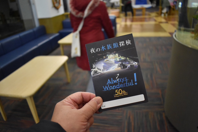 記念にもらえる「夜の水族館探検」参加証明書／鴨川シーワールド（千葉県/鴨川市）