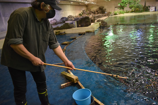 トロピカルアイランド「無限の海」でエサやり体験／鴨川シーワールド（千葉県/鴨川市）
