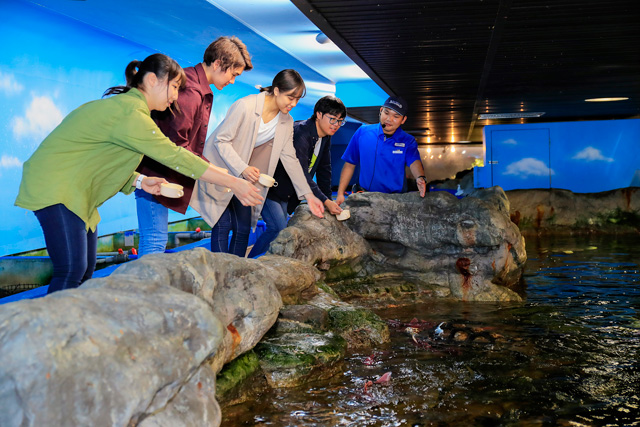 エコアクアロームの展示施設裏でお魚の食事タイムをお手伝い／鴨川シーワールド（千葉県/鴨川市）