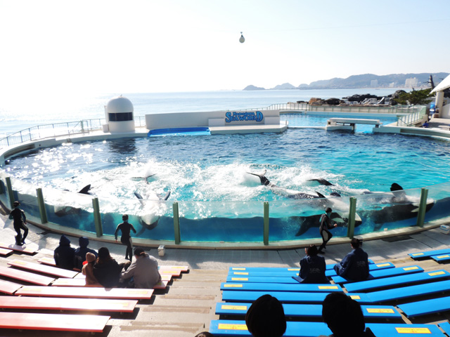太平洋を背景にしたロケーション／鴨川シーワールド（千葉県/鴨川市）