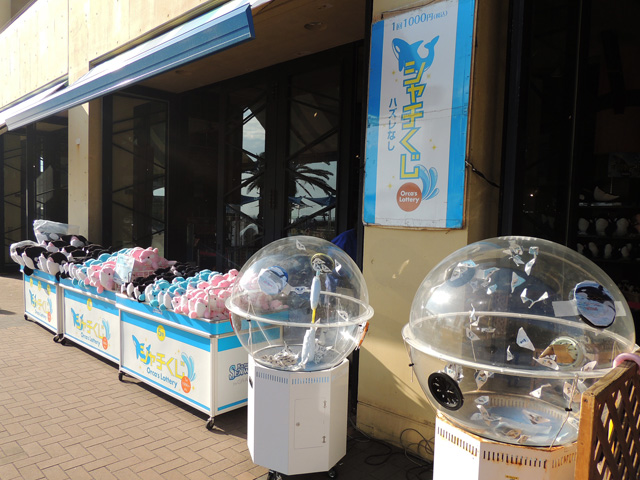 ハズレがないシャチくじ／鴨川シーワールド（千葉県/鴨川市）