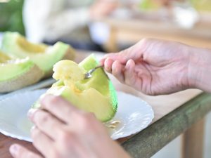 和歌山県の夏の味覚&果物狩り！メロン狩り・梅狩り・ブルーベリー狩りなど