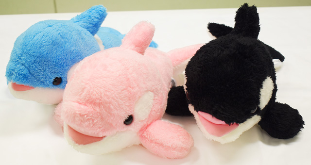 シャチくじで当たるぬいぐるみ／鴨川シーワールド（千葉県/鴨川市）