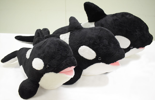 シャチくじのシャチのぬいぐるみ各種／鴨川シーワールド（千葉県/鴨川市）