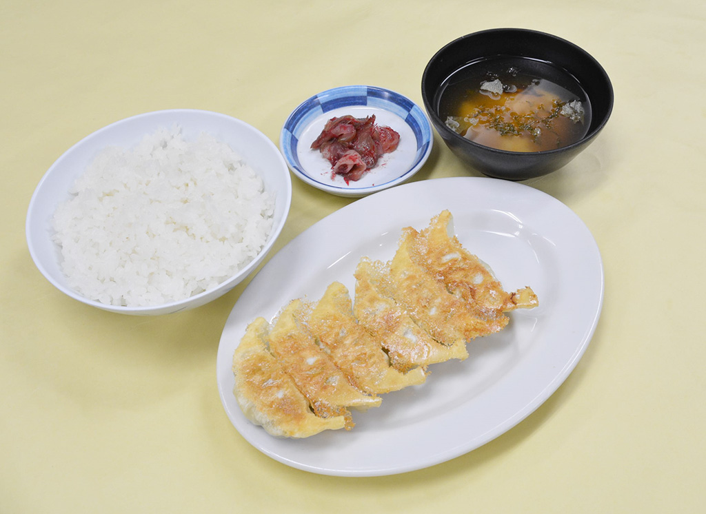 豚嘻嘻のとんきっき肉シングル焼餃子定食/上河内SA【下り】（栃木県/宇都宮市）