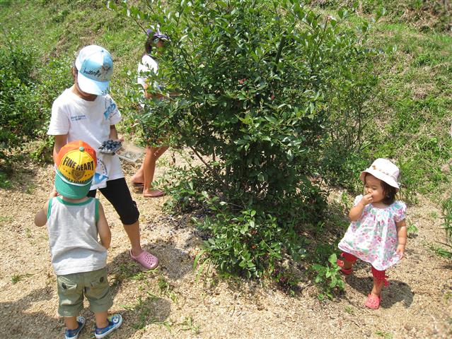 福田フルーツパーク（山口県／周南市）