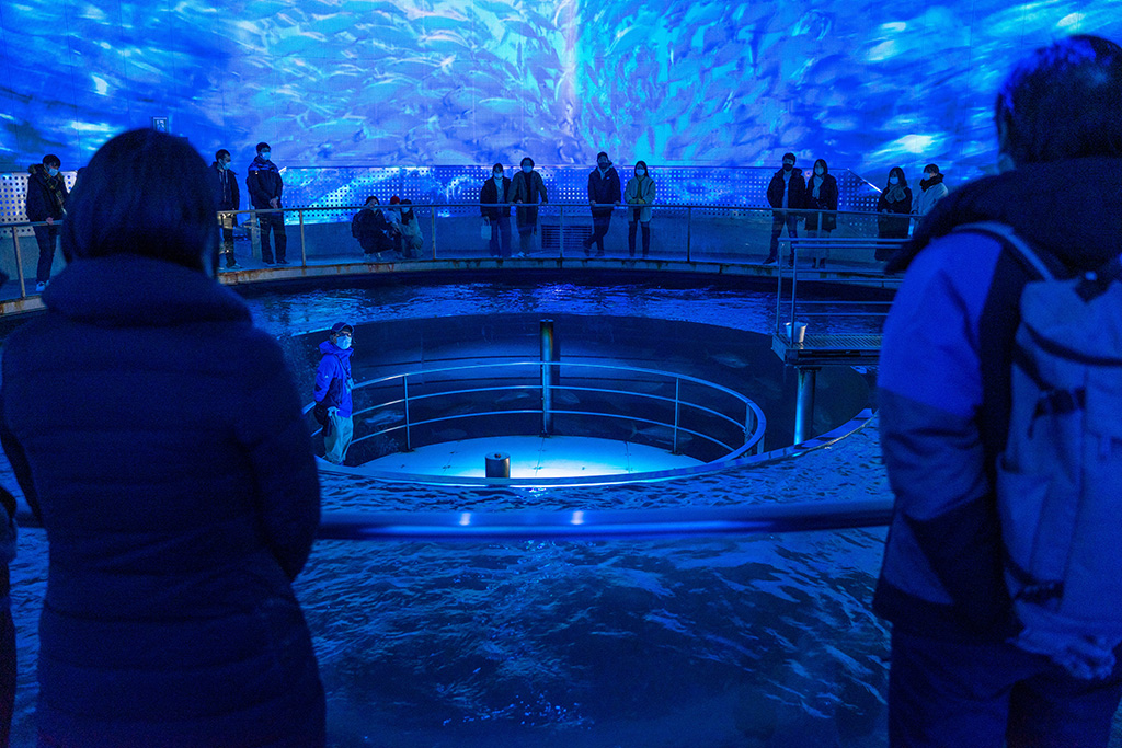 フィッシュダンスの様子/城崎マリンワールド（兵庫県/豊岡市）