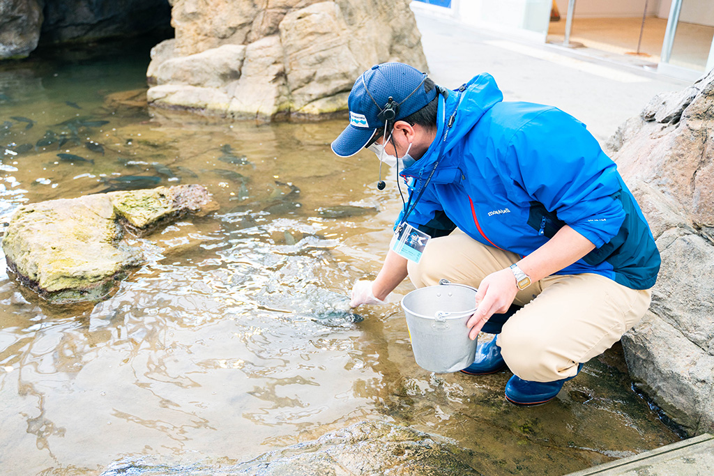 さかなのランチタイム/城崎マリンワールド（兵庫県/豊岡市）
