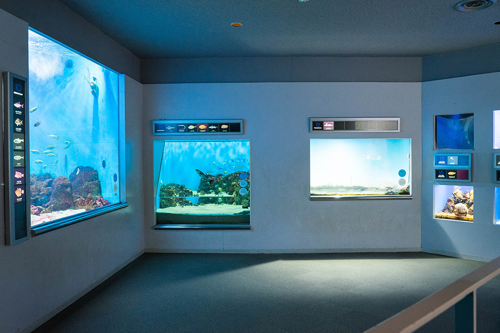 小さな水槽で隅々まで観察/城崎マリンワールド（兵庫県/豊岡市）