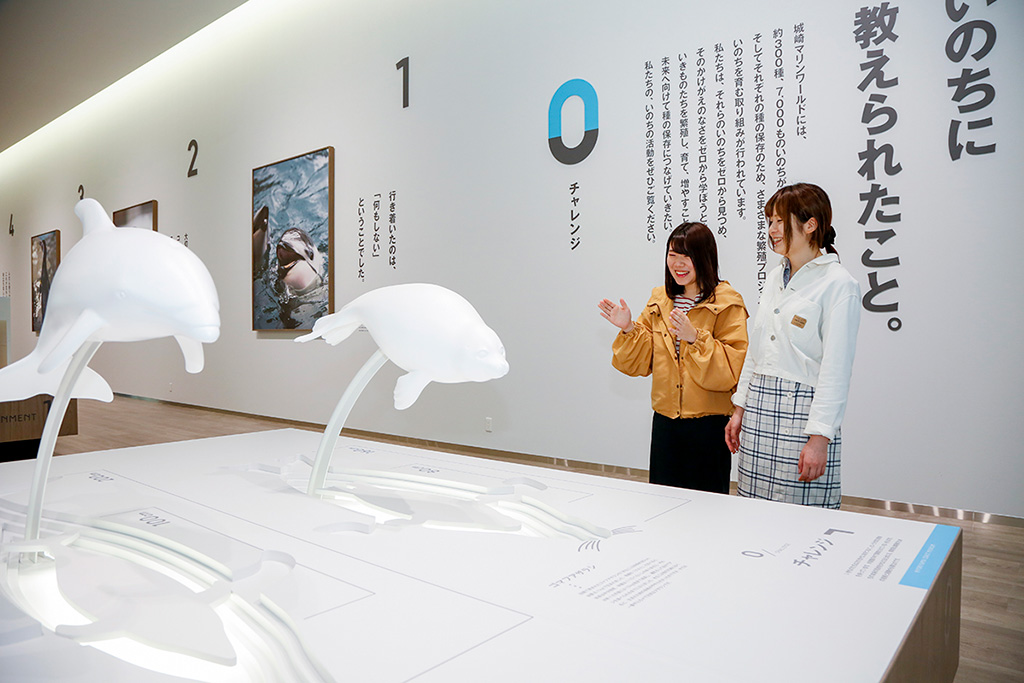 日和山海岸ミュージアム/城崎マリンワールド（兵庫県/豊岡市）