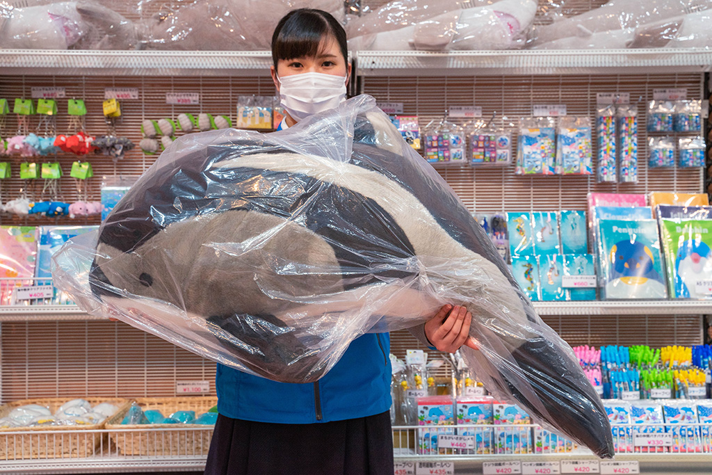 オリジナルグッズ「カマイルカぬいぐるみ」/城崎マリンワールド（兵庫県/豊岡市）
