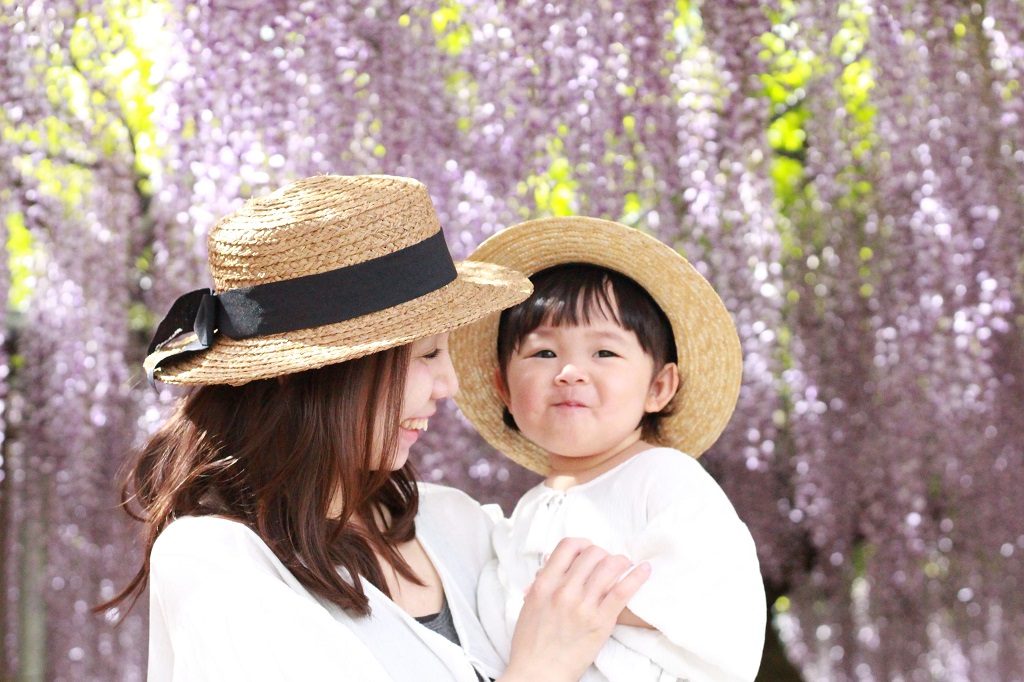 ベビーカーや車いすで楽しむ藤棚観賞！あしかがフラワーパークのバリアフリー情報も