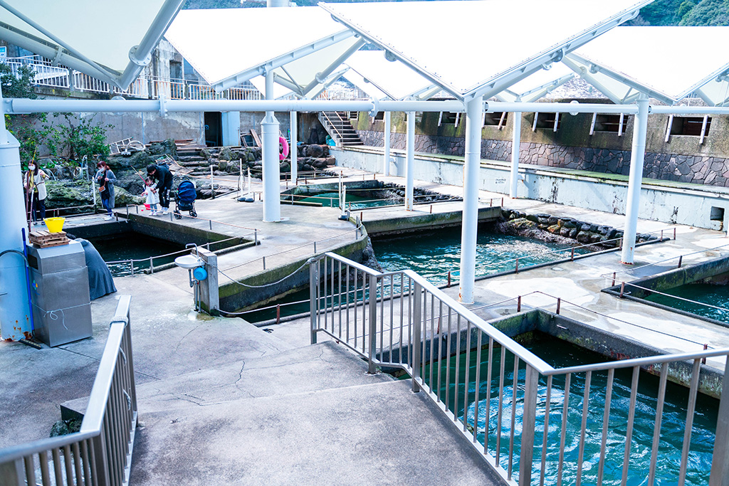 アジ釣り専用のスペース「フィッシング」/城崎マリンワールド（兵庫県/豊岡市）