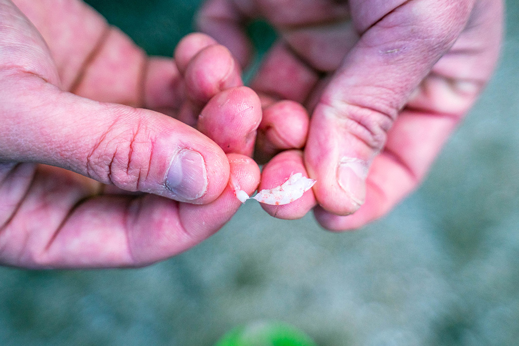 アジ釣りのエサ付け/城崎マリンワールド（兵庫県/豊岡市）