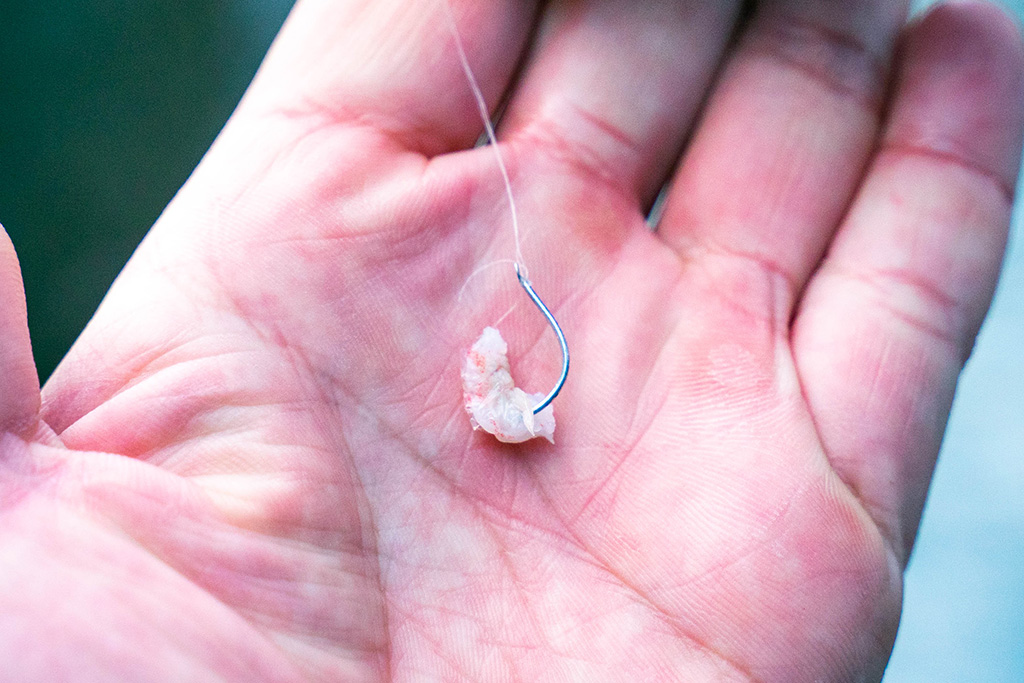 アジ釣りのエサ付け/城崎マリンワールド（兵庫県/豊岡市）