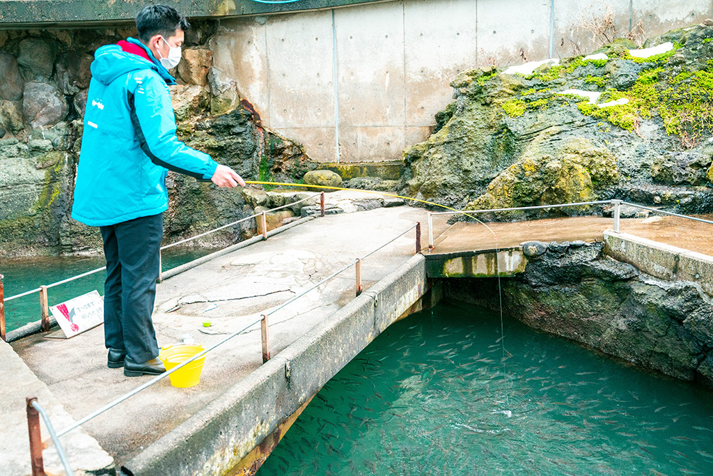 アジ釣りの様子/城崎マリンワールド（兵庫県/豊岡市）