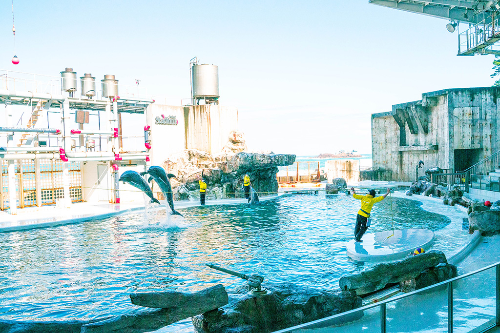 イルカショーの様子/城崎マリンワールド（兵庫県/豊岡市）