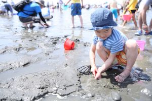 中国・四国(山口・香川)のおすすめ潮干狩り場(2025)マテ貝を採ろう!