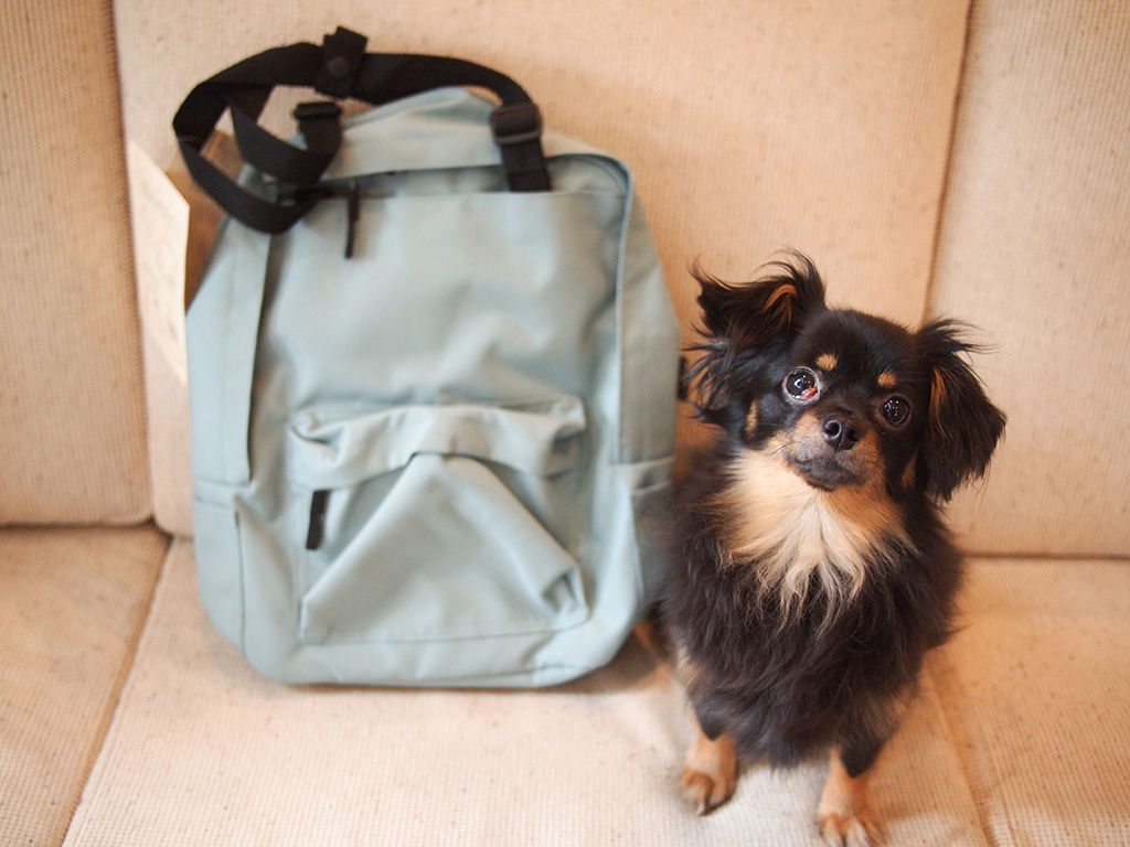 無印良品「手提げとしても使えるリュックサック」