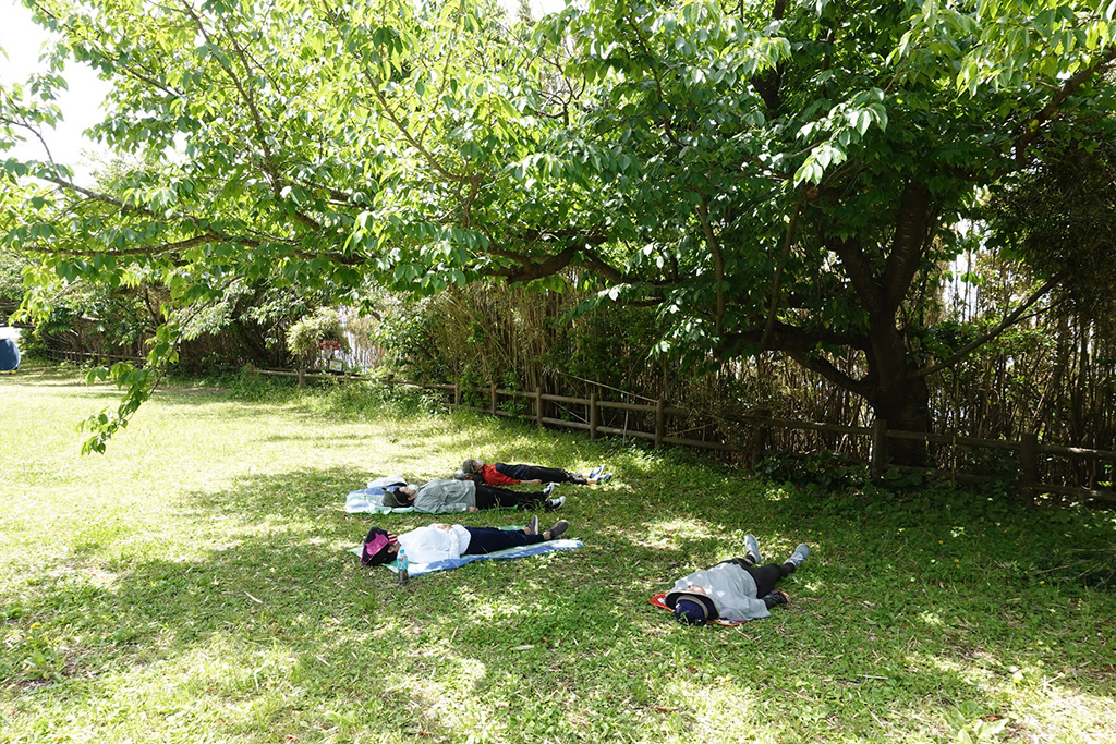 地域の方に向けて開催した森林浴ツアー│移住インタビュー(千葉県/南房総市)