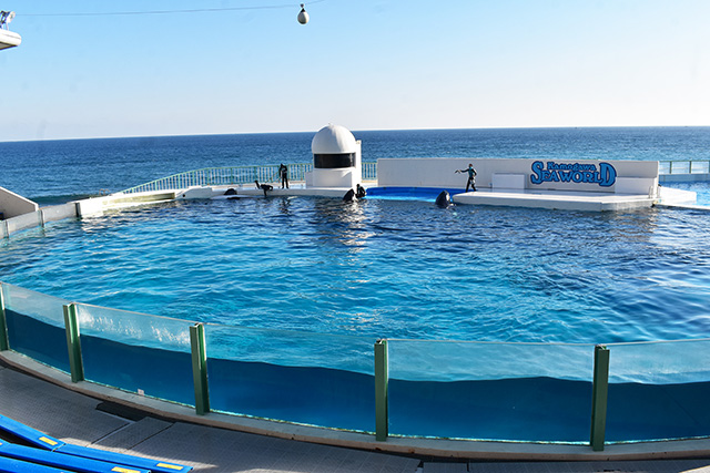 オーシャンスタジアム/鴨川シーワールド(千葉県/鴨川市)